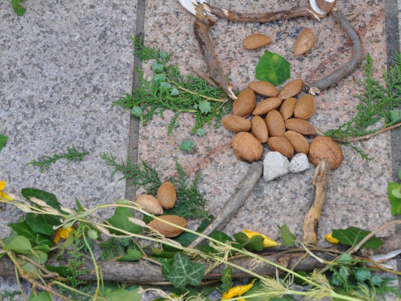 Művésztábor második nap