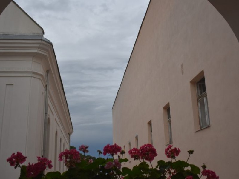 Múzeumok Éjszakája 2019