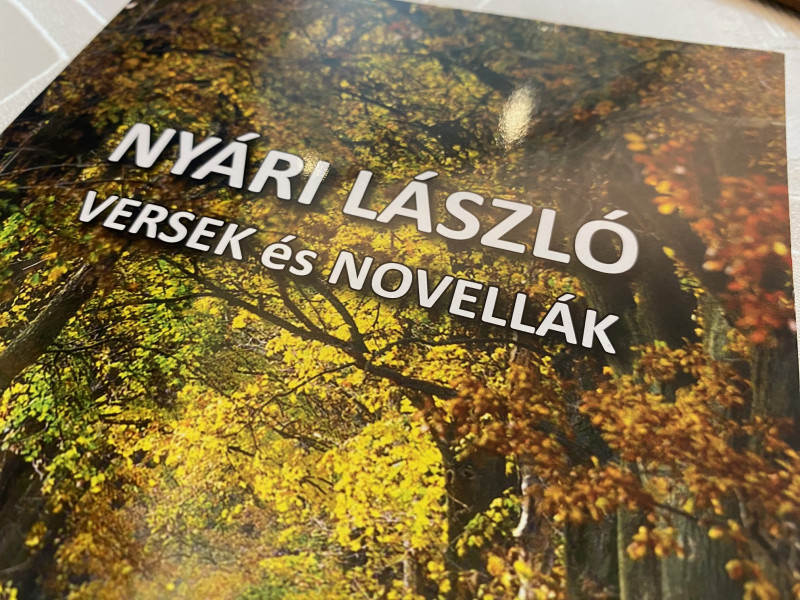 Nyári László: Az úton