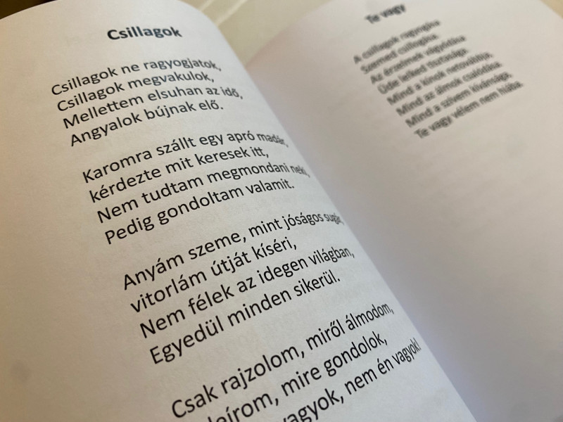 Nyári László: Az úton