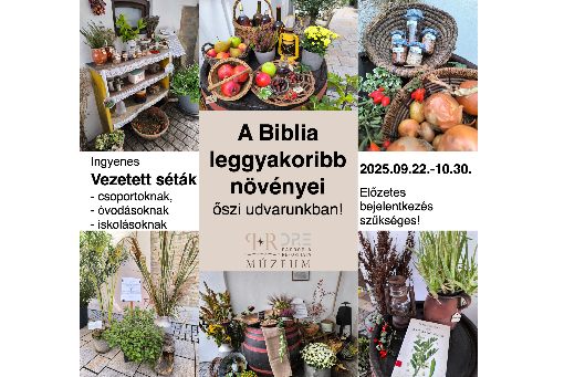 A Biblia leggyakoribb növényei