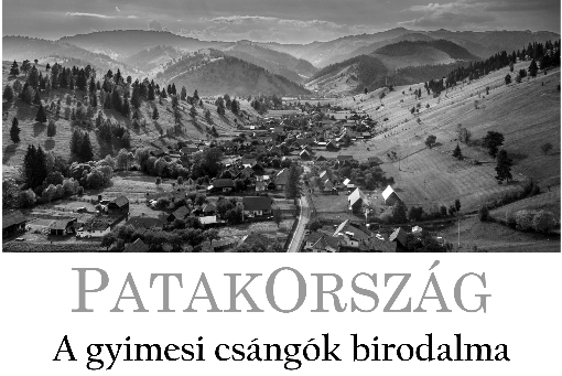 Kiállítások